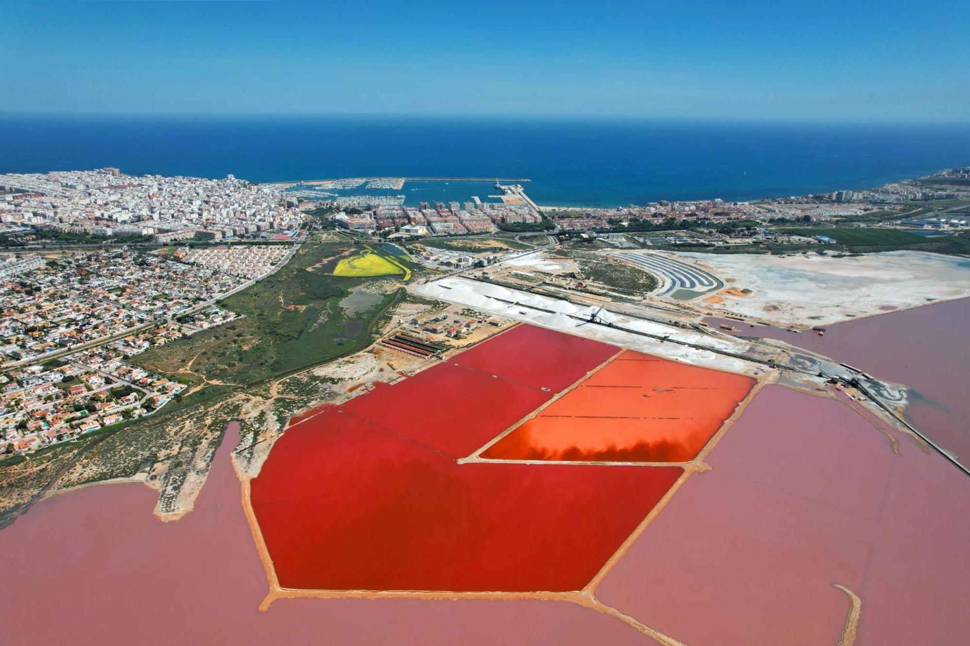 Espanhouse Bogdan Torrevieja Exteriör bild