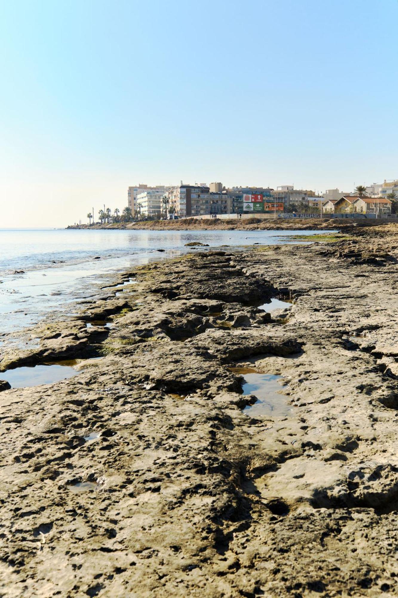 Espanhouse Bogdan Torrevieja Exteriör bild